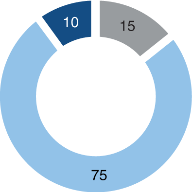 Gráfico sobre a distribuição de investimento para um perfil Conservador: 75% em obrigações, 15% em liquidez e 10% em ações.