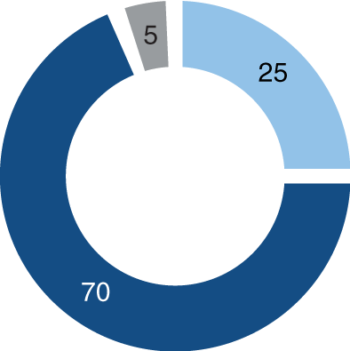 Gráfico sobre a distribuição de investimento para um perfil Dinâmico: 70% em ações, 25% em obrigações e 5% em liquidez.
